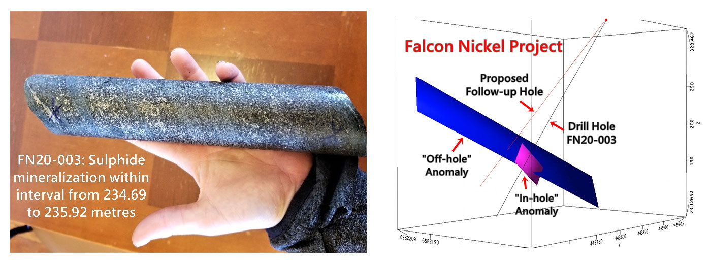 falcon nickel samples
